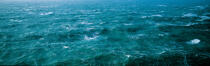 Rough sea © Philip Plisson / Plisson La Trinité / AA00958 - Photo Galleries - Heavy swell