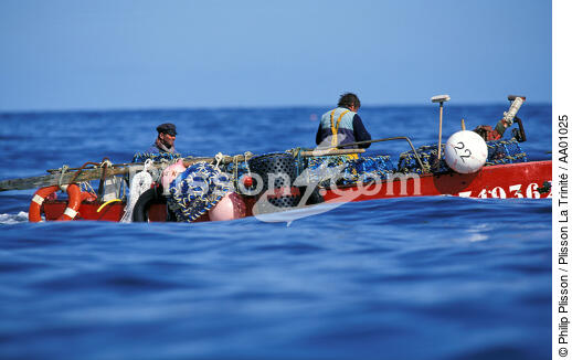 Small fishing. - © Philip Plisson / Plisson La Trinité / AA01025 - Photo Galleries - Fishermen of the world