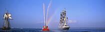 Gathering of Brest 1996. © Philip Plisson / Plisson La Trinité / AA10452 - Photo Galleries - Iceland schooner with topsails