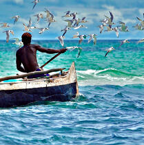 Fishing Malagasy © Philip Plisson / Plisson La Trinité / AA17749 - Photo Galleries - Sea decoration