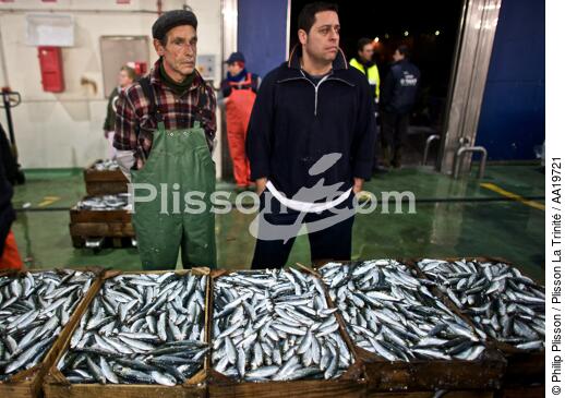 Vigo Fish Dock - © Philip Plisson / Plisson La Trinité / AA19721 - Photo Galleries - Fish dock