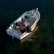 Petite pêche en baie de Morlaix © Philip Plisson / Plisson La Trinité / AA24522 - Nos reportages photos - Casier