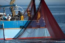 Pêche à la sardine en baie de Concarneau © Philip Plisson / Plisson La Trinité / AA25644 - Nos reportages photos - Baie de Concarneau