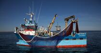 Pêche à la sardine en baie de Concarneau © Philip Plisson / Plisson La Trinité / AA25662 - Nos reportages photos - Baie de Concarneau