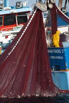Pêche à la sardine en baie de Concarneau © Philip Plisson / Plisson La Trinité / AA25667 - Nos reportages photos - Baie de Concarneau