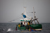 Pêche a la sardine pour la Quiberonaise © Philip Plisson / Plisson La Trinité / AA26401 - Nos reportages photos - La pêche à la sardine