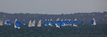 Laser regatta in the bay of Brest © Philip Plisson / Plisson La Trinité / AA26883 - Photo Galleries - Brest Harbour