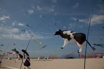 International Meetings of kites in Berck sur Mer [AT] © Philip Plisson / Plisson La Trinité / AA28704 - Photo Galleries - Kite