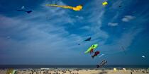 International Meetings of kites in Berck sur Mer [AT] © Philip Plisson / Plisson La Trinité / AA28710 - Photo Galleries - Kite