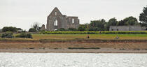 Les ruines de l'abbaye des Châteliers sur l'île de Ré © Philip Plisson / Plisson La Trinité / AA30017 - Nos reportages photos - Ruine