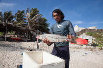 © Philip Plisson / Plisson La Trinité / AA39114 Jangaderos - Photo Galleries - Fishermen of the world
