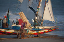 © Philip Plisson / Plisson La Trinité / AA39131 Jangaderos - Photo Galleries - Fishermen of the world