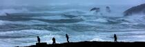 © Philip Plisson / Plisson La Trinité / AA39633 Coup de vent sur la côte sauvage de Quiberon - Nos reportages photos - Resultat Recherche