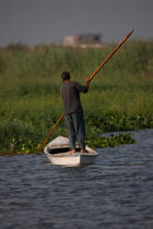 Sur le lac Manzala - Egypte © Philip Plisson / Plisson La Trinité / AA39781 - Nos reportages photos - Type vue