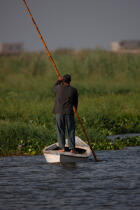 Sur le lac Manzala - Egypte © Philip Plisson / Plisson La Trinité / AA39780 - Nos reportages photos - Type vue