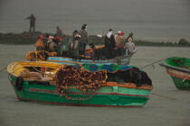 Pêche devant Alexandrie - Egypte © Philip Plisson / Plisson La Trinité / AA39812 - Nos reportages photos - Auteur