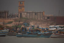Pêche devant Alexandrie - Egypte © Philip Plisson / Plisson La Trinité / AA39810 - Nos reportages photos - Bateau de pêche