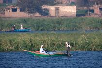 Sur le lac Manzala - Egypte © Philip Plisson / Plisson La Trinité / AA39836 - Nos reportages photos - Type vue