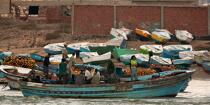 Pêche devant Alexandrie - Egypte © Philip Plisson / Plisson La Trinité / AA39806 - Nos reportages photos - Bateau de pêche