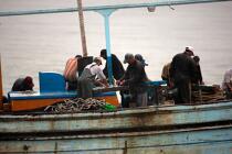 Pêche devant Alexandrie - Egypte © Philip Plisson / Plisson La Trinité / AA39811 - Nos reportages photos - Type vue