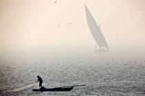 Petite pêche sur le Delta du Nil - Egypte © Philip Plisson / Plisson La Trinité / AA39813 - Nos reportages photos - Auteur