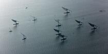 Sur le lac Burullus - Egypte © Philip Plisson / Plisson La Trinité / AA39815 - Nos reportages photos - Type vue