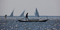 Sur le lac Burullus - Egypte © Philip Plisson / Plisson La Trinité / AA39852 - Nos reportages photos - Auteur