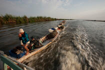 Sur le lac Manzala - Egypte © Philip Plisson / Plisson La Trinité / AA39860 - Nos reportages photos - Type vue